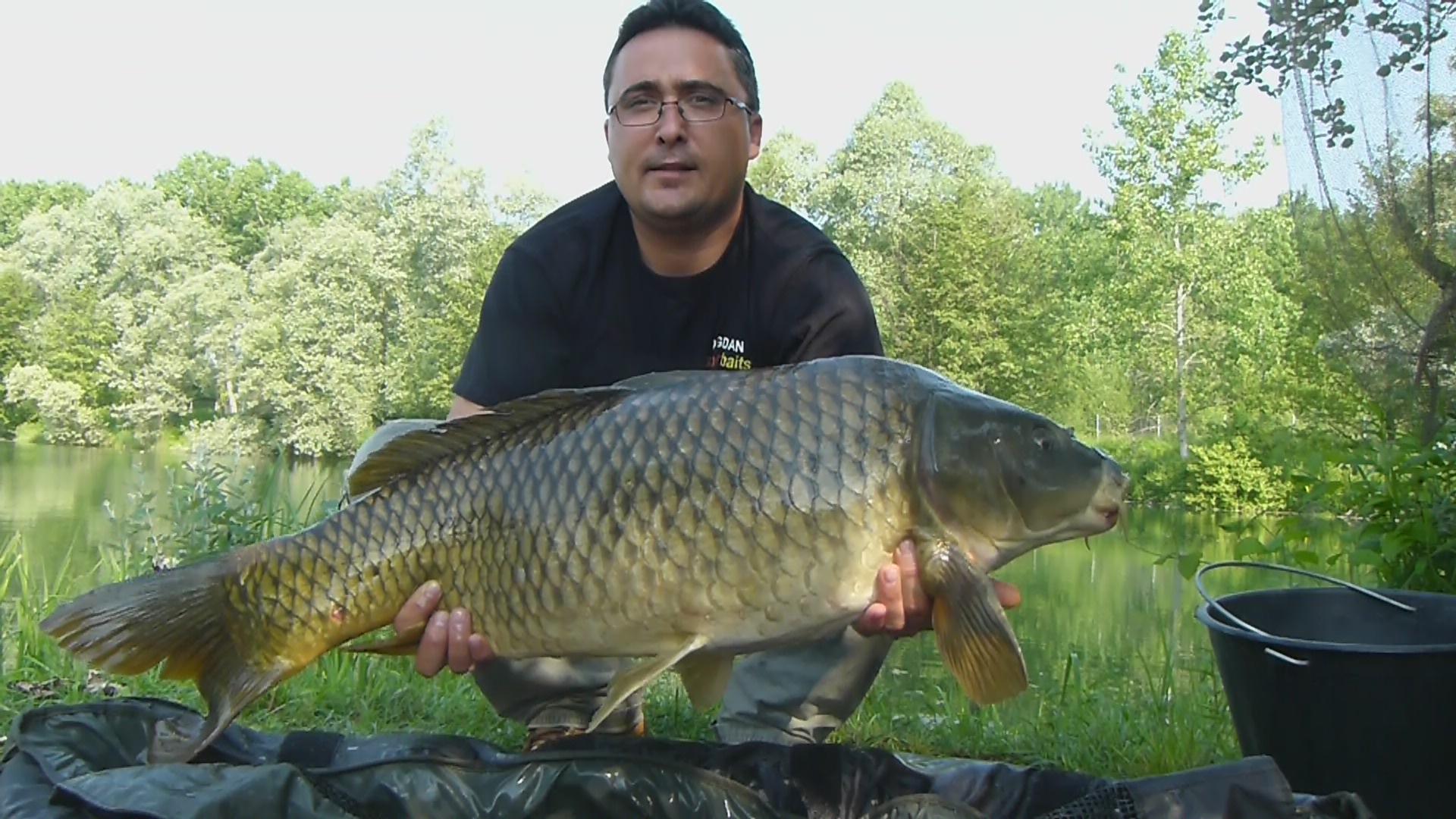 THE BIGS OF 2012 - p1000047.JPG